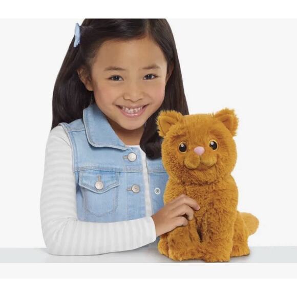 Warner Bros. Other - Harry Potter Crookshanks Plush Wizarding World Universal Orlando Hermione's Cat